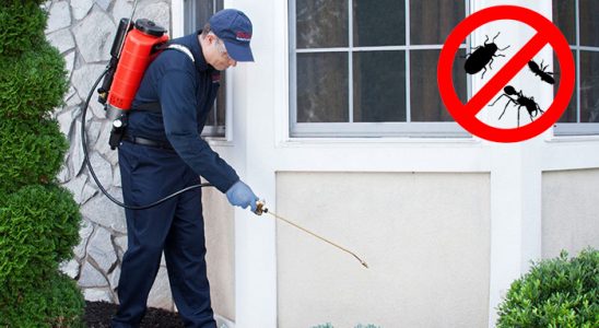 Çukurova Böcek İlaçlama böcek ilaçlama ve haşere kontrolü — ilaclama-tr.com